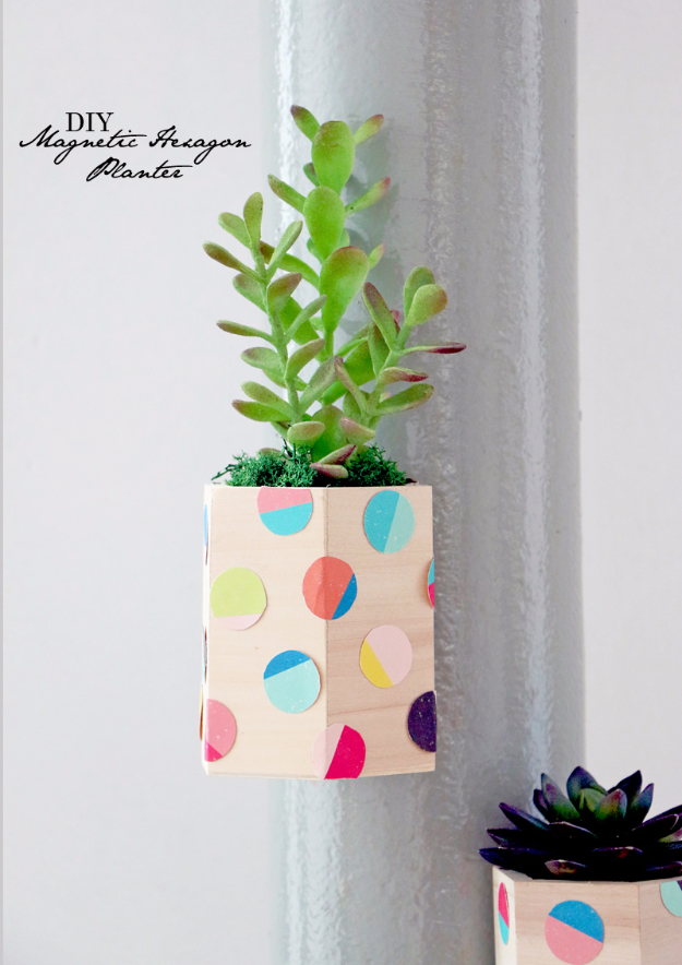 DIY Teen Room Decor Ideas for Girls | DIY Magnetic Hexagon Planter | Cool Bedroom Decor, Wall Art & Signs, Crafts, Bedding, Fun Do It Yourself Projects and Room Ideas for Small Spaces #teencrafts #roomdecor #teens #diy
