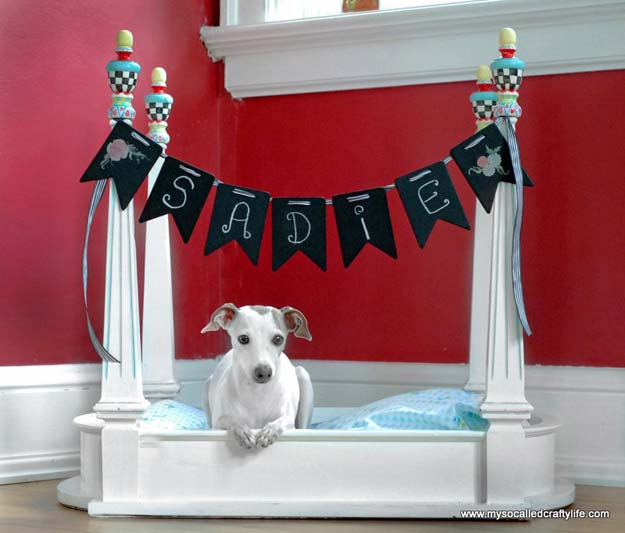 11+ DIY Projects For Your Dog!