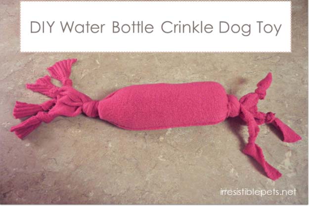 DIY Projects for Your Pet - Easy DIY Water Bottle Crinkle Dog Toy - Cat and Dog Beds, Treats, Collars and Easy Crafts to Make for Toys - Homemade Dog Biscuits, Food and Treats - Fun Ideas for Teen, Tweens and Adults to Make for Pets 