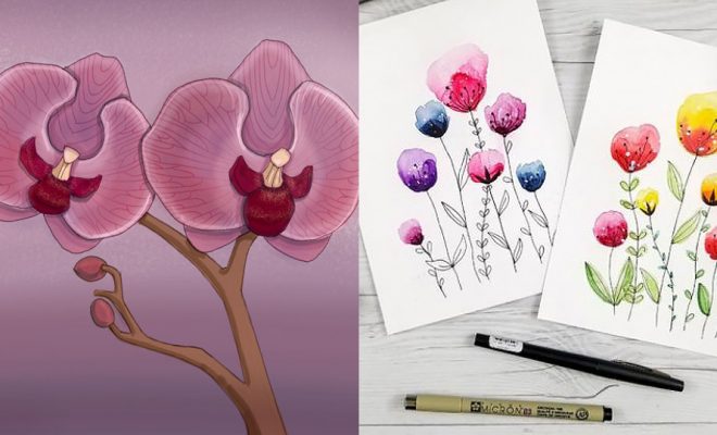 Drawing of pink flower color on white background Vector Image-saigonsouth.com.vn