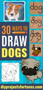 30 Ways to Draw Dogs - DIY Projects for Teens