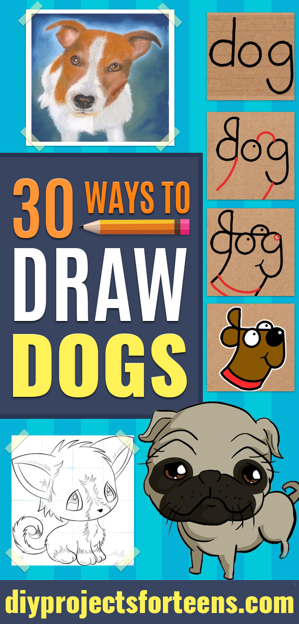 30 Ways To Draw Dogs