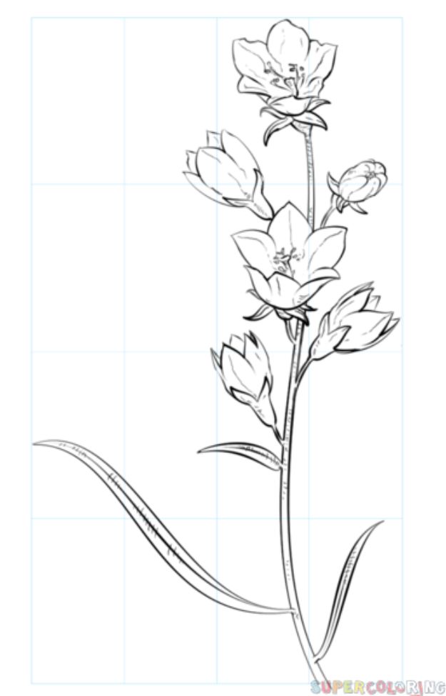 Featured image of post Cool Flowers Drawings Easy