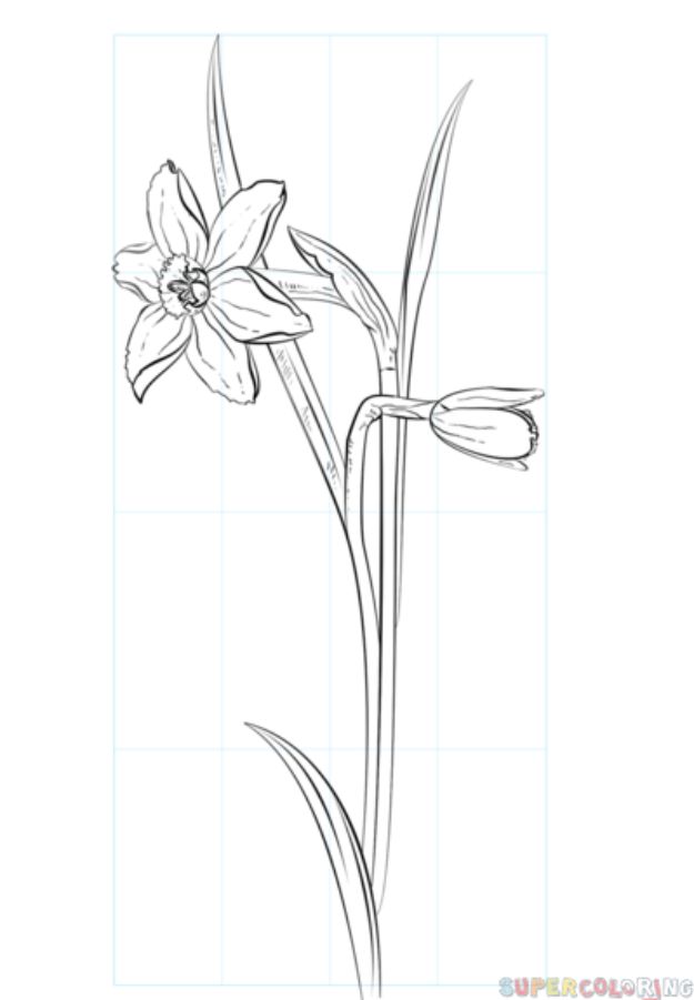 Featured image of post Beginner Easy Flower Drawings In Pencil