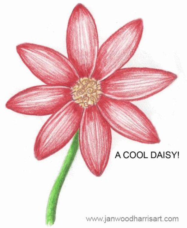 Featured image of post Easy Drawings Flowers For Beginners - They make for some great art pieces.