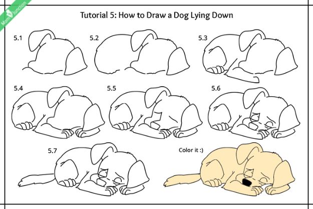 how to draw a step by step dog