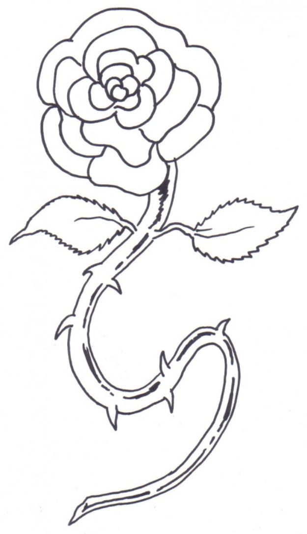 30 Flower Drawing Tutorials Diy Projects For Teens Perhaps add a bit of shading. 30 flower drawing tutorials diy