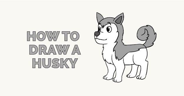 How to Draw Dogs - Draw A Husky - Easy Step by Step Drawing Tutorial - Learn How To Draw A Dog and Cute Puppies - Cartoon and Realistic Animals
