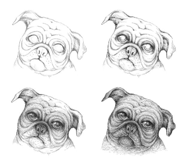 30 Ways To Draw Dogs