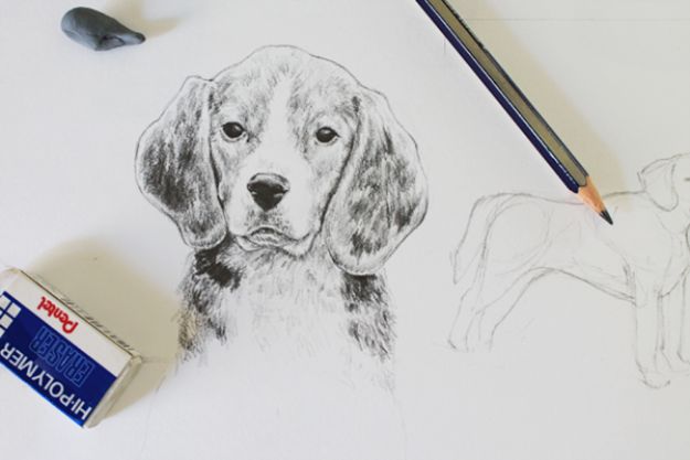 30 Ways To Draw Dogs