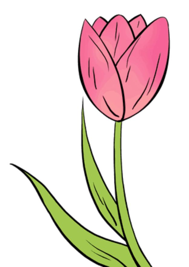 flower drawings with color easy