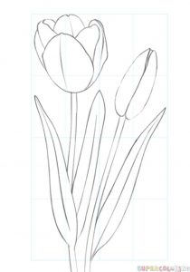 30 Flower Drawing Tutorials - DIY Projects for Teens