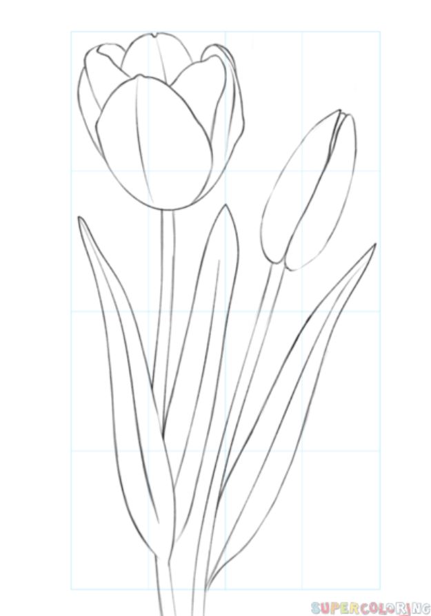 Featured image of post Pencil Sketch Pictures Of Flowers To Draw Easy / Use &#039;graphic pencil sketch&#039; photo effect to turn your picture into realistic pencil sketch online.