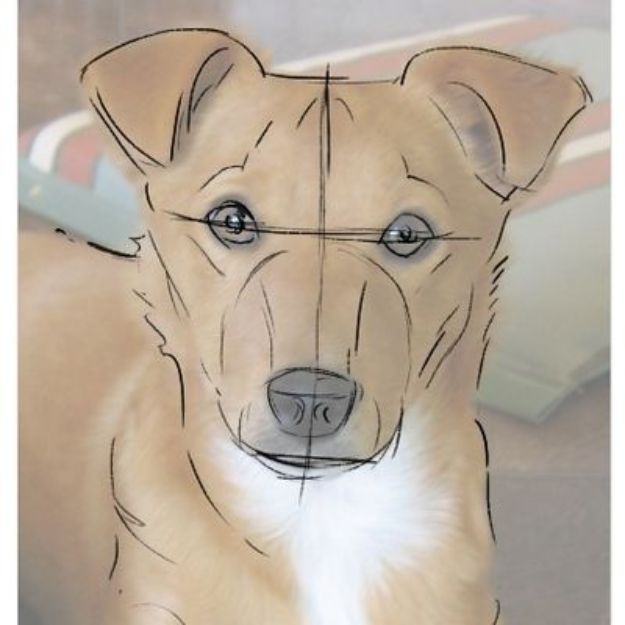 30 Ways To Draw Dogs Diy Projects For Teens