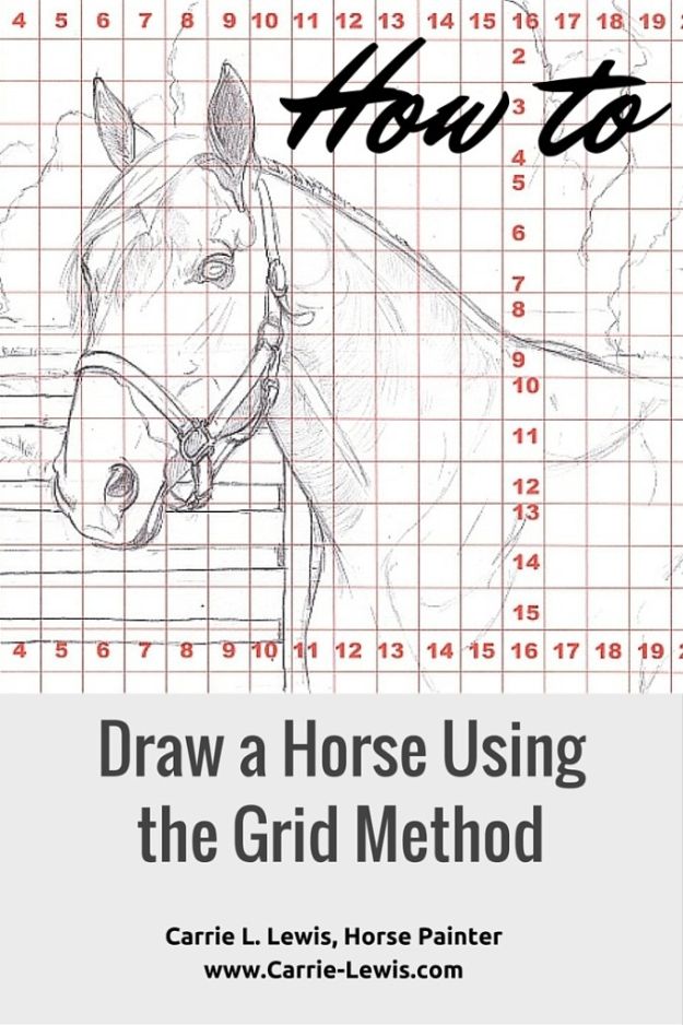 100 to how animals draw Tutorials to  How You 100 Draw Teach to