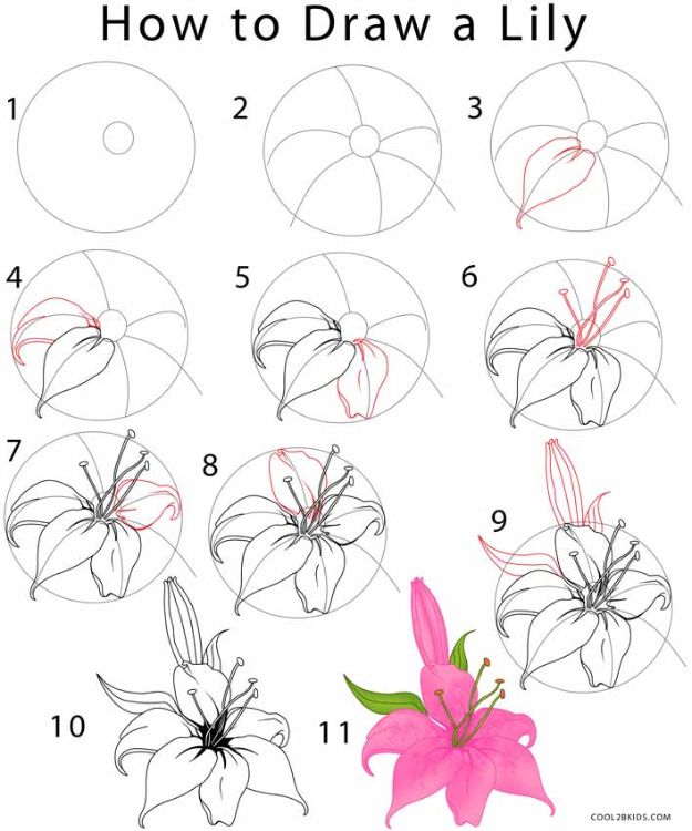 how to draw a realistic flower step by step with pencil