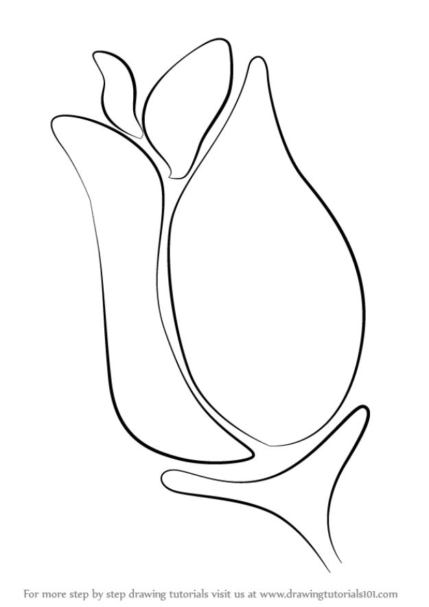 Premium Vector | Vector illustration of a bellflower outline