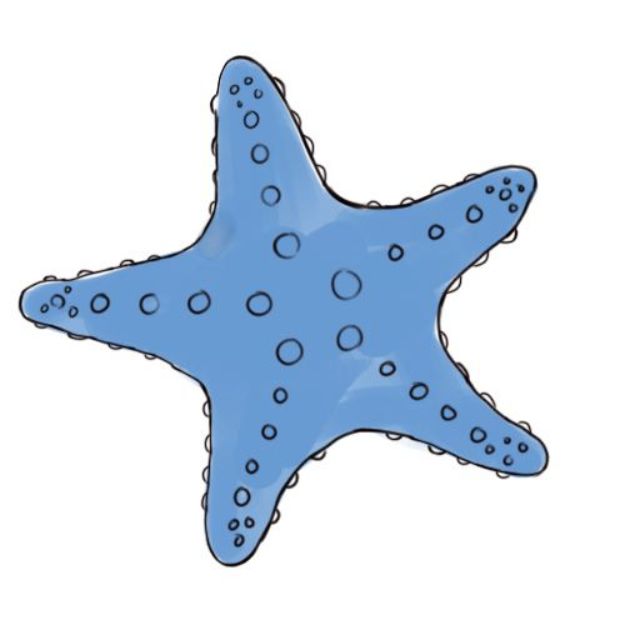 How to Draw a Starfish Step by Step Lesson and Tutorial - Easy Drawing to Try At Home - Under the Sea Art Ideas With Tutorial - Kids and Childrens Art Project Ideas