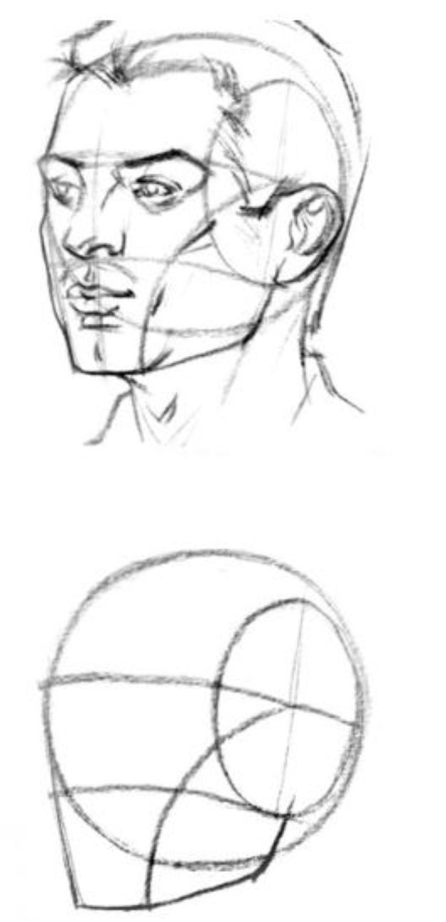 Learn How To Draw The Head From Any Angle