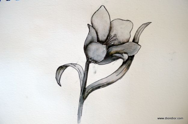 easy flower drawing ideas