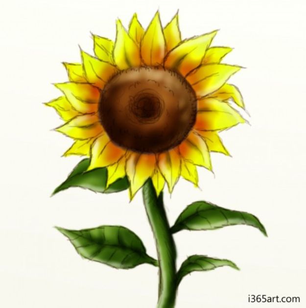 Easy Things to Draw When You Are Bored - Draw A Sunflower - Quick and Cool Drawing Lessons for Fun Art - How to Draw Basic Things, Cartoons, Animals, Flowers, People