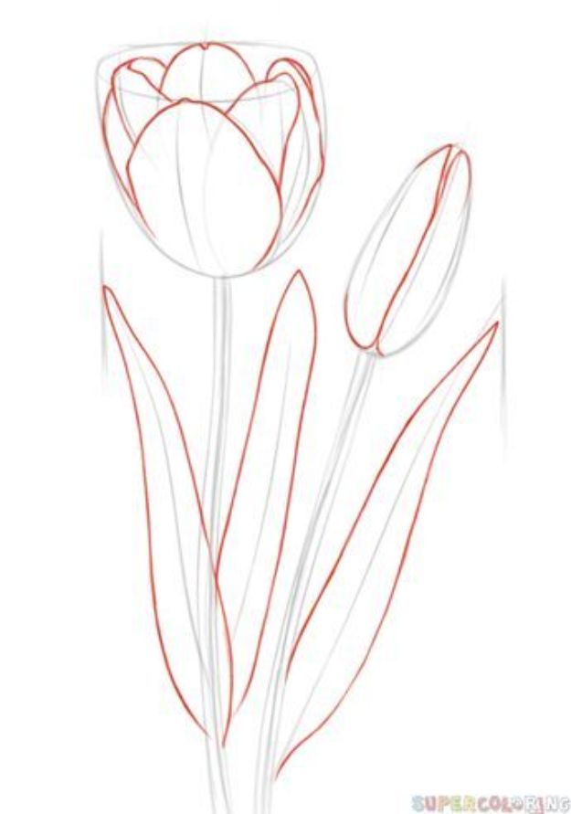 Coisas Fáceis para Desenhar Quando Você Está Entediado - Desenhar Uma Tulipa - Rápido e Fresco Aulas de Desenho para Diversão Arte - Como Desenhar Coisas Básicas, Desenhos animados, Animais, Flores, Pessoas