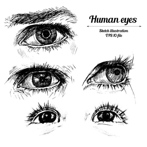 eye sketches  Anime eye drawing, Eye drawing tutorials, Eye sketch