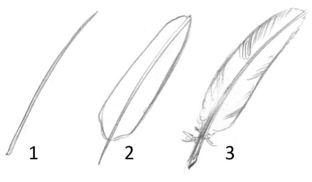 Easy Things to Draw When You Are Bored - Draw Feathers - Quick and Cool Drawing Lessons for Fun Art - How to Draw Basic Things, Cartoons, Animals, Flowers, People