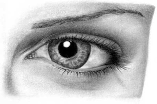 Easy Things to Draw When You Are Bored - Draw Realistic Eyes - Quick and Cool Drawing Lessons for Fun Art - How to Draw Basic Things, Cartoons, Animals, Flowers, People