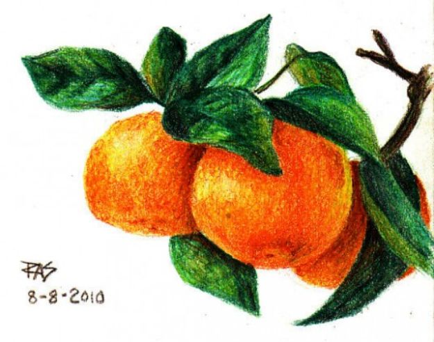 Easy Things to Draw When You Are Bored - Draw Tangerines with Colored Pencils - Quick and Cool Drawing Lessons for Fun Art - How to Draw Basic Things, Cartoons, Animals, Flowers, People