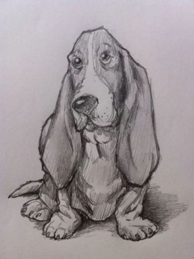 Easy Things to Draw When You Are Bored - How to Draw for Beginners- Quick and Cool Drawing Lessons for Fun Art - How to Draw Basic Things, Cartoons, Animals, Flowers, People, An Eye Eyes- How to Draw A Basset Hound Dog- How to Draw A Hound- How to Draw A Dog- Easy Basset Hound Drawings- How to Draw a Basset Hound